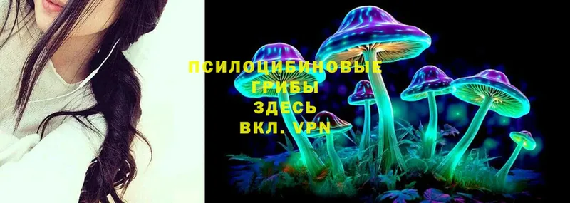 Галлюциногенные грибы Psilocybe  цена наркотик  Корсаков 